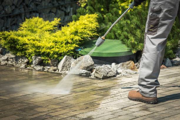 Best Animal Enclosure Cleaning  in Steele Creek, AK