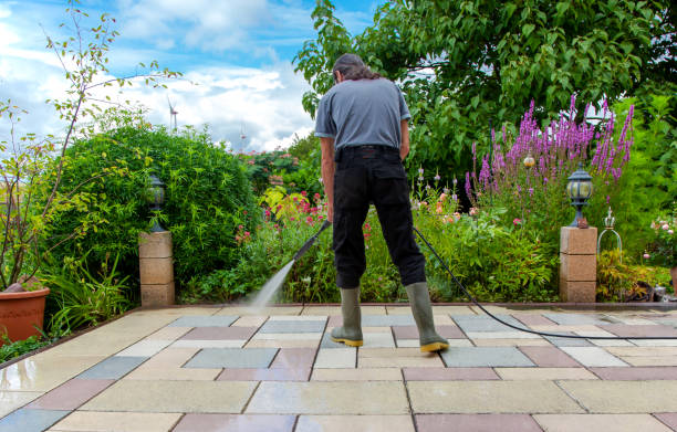 Best Fence Cleaning  in Steele Creek, AK