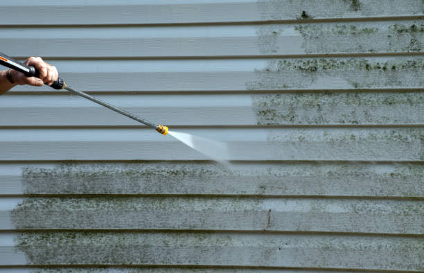 Animal Enclosure Cleaning in Steele Creek, AK