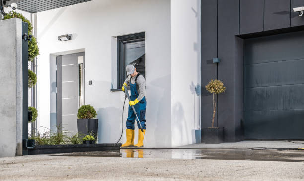 Best Roof Washing  in Steele Creek, AK